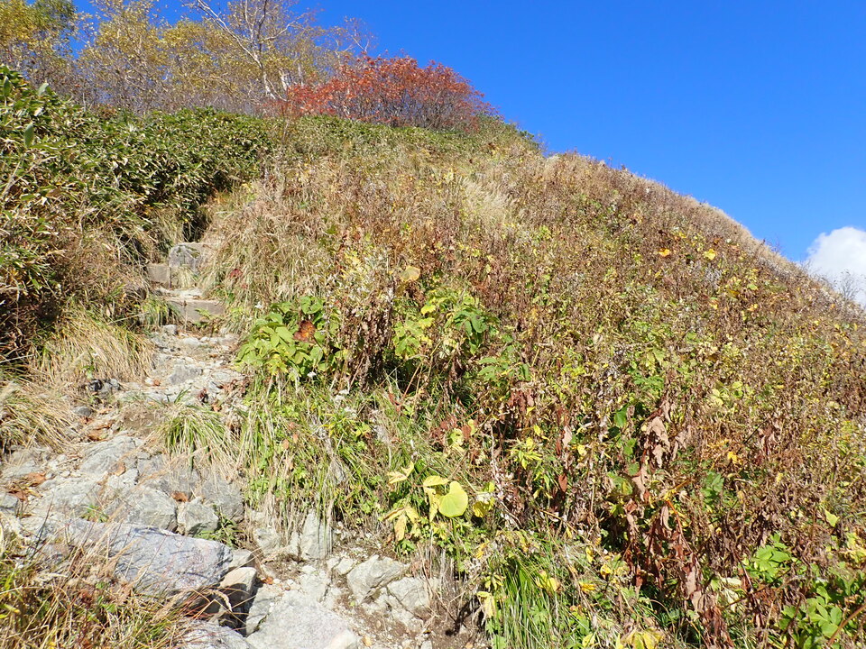 PA025337_mid.jpg