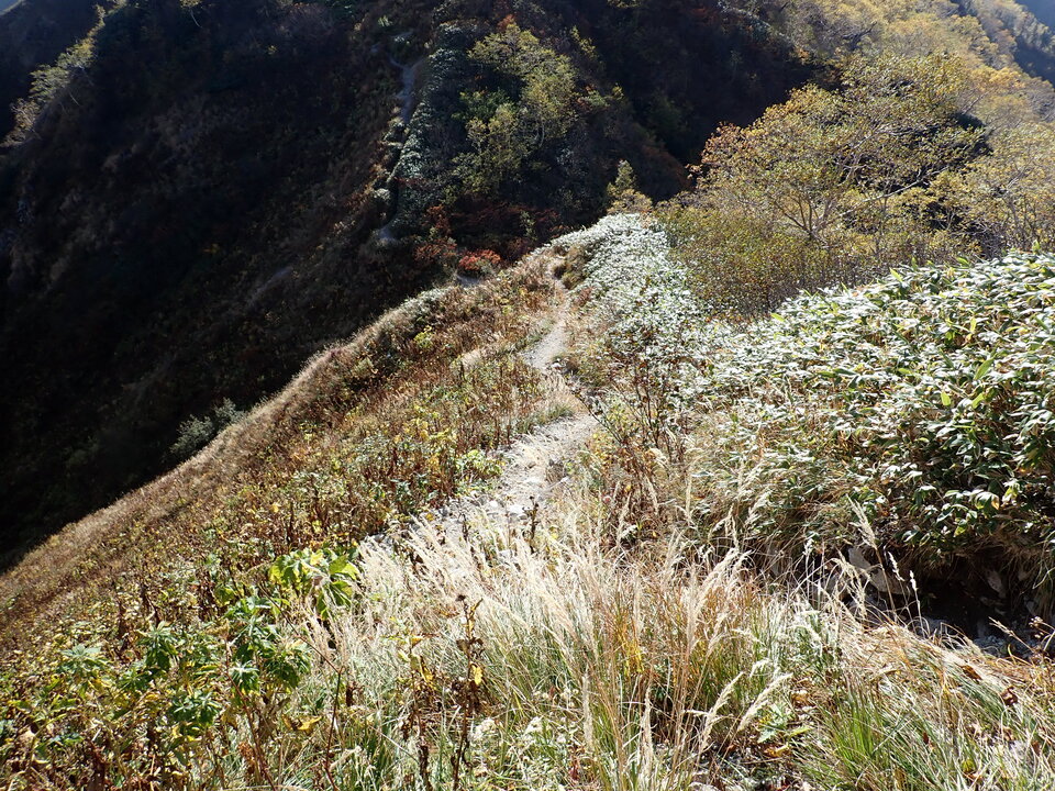 PA025338_mid.jpg