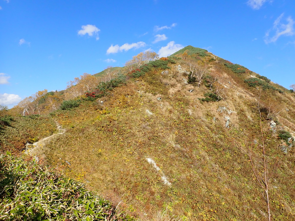 PA025341_mid.jpg