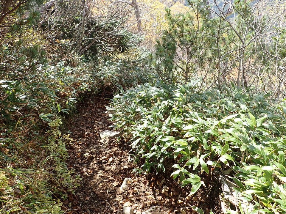 PA025345_mid.jpg