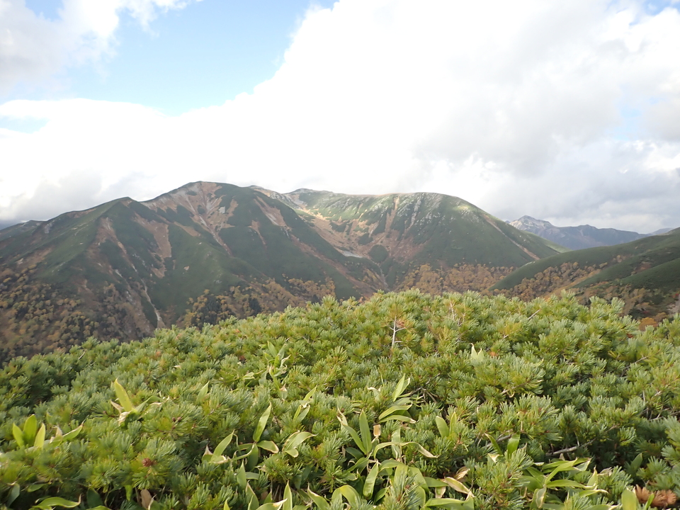 PA025362_mid.jpg