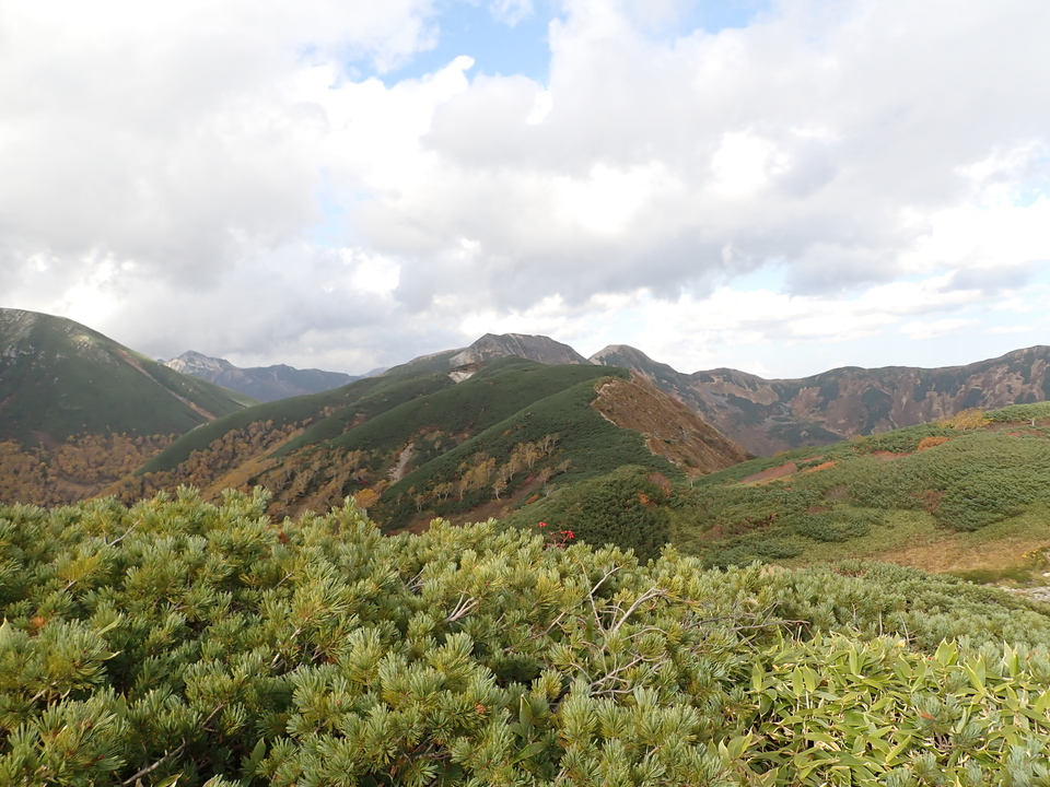 PA025363_mid.jpg