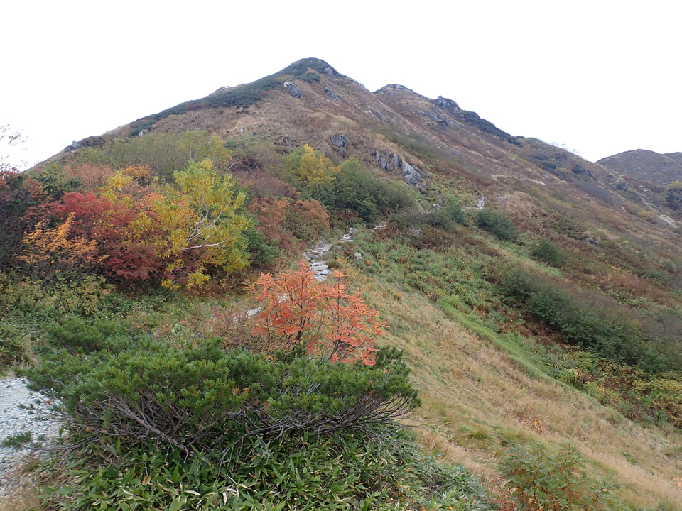 PA025376_mid.jpg