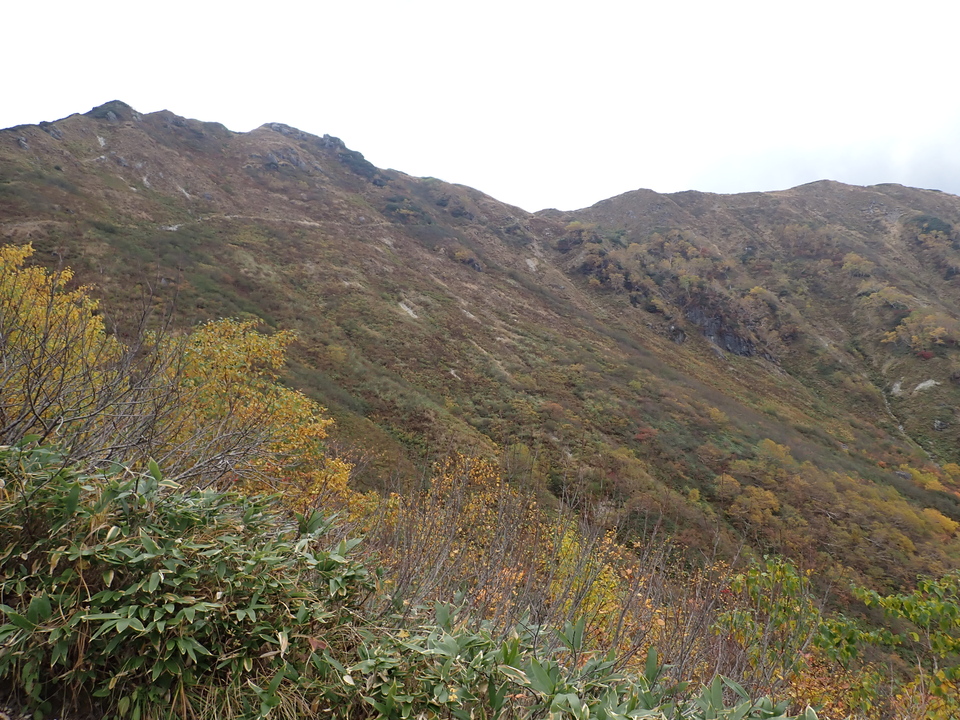 PA025380_mid.jpg