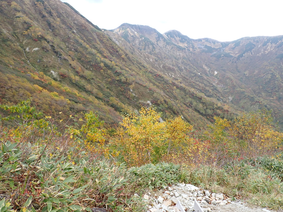 PA025381_mid.jpg