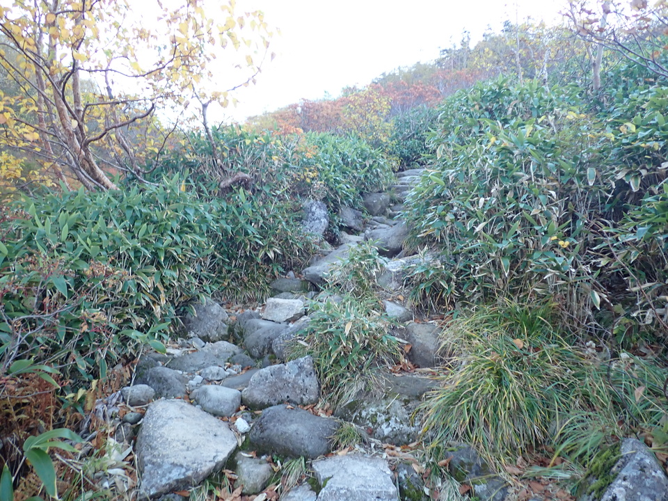 PA035391_mid.jpg