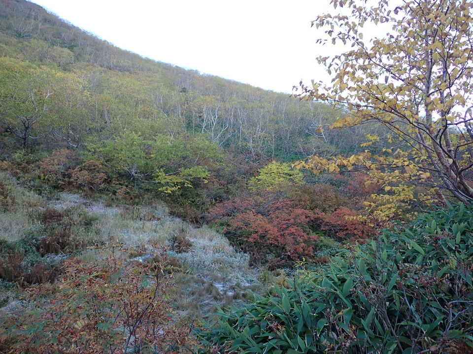 PA035393_mid.jpg
