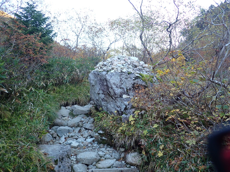 PA035397_mid.jpg