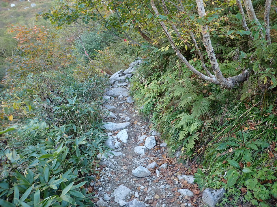 PA035400_mid.jpg