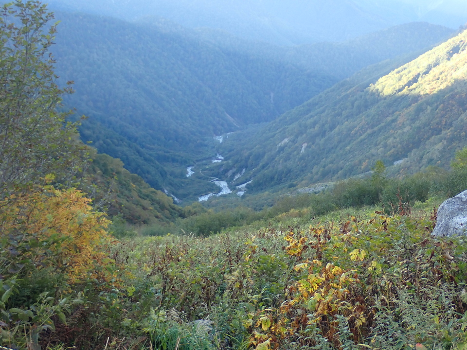 PA035408_mid.jpg