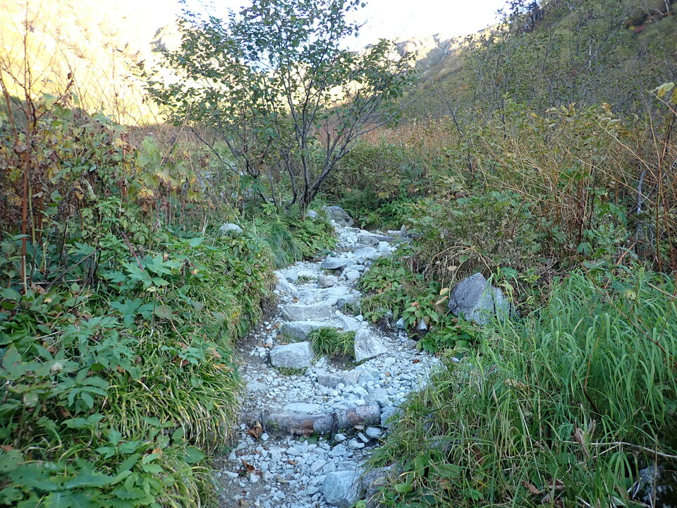PA035416_mid.jpg