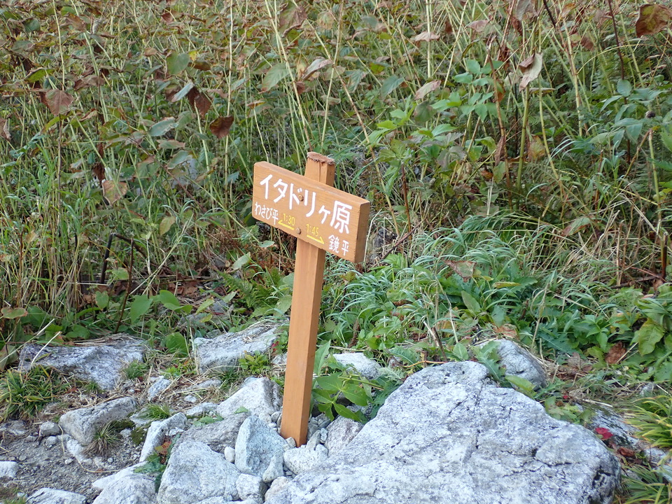 PA035429_mid.jpg