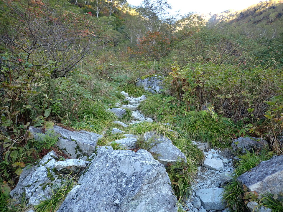 PA035432_mid.jpg