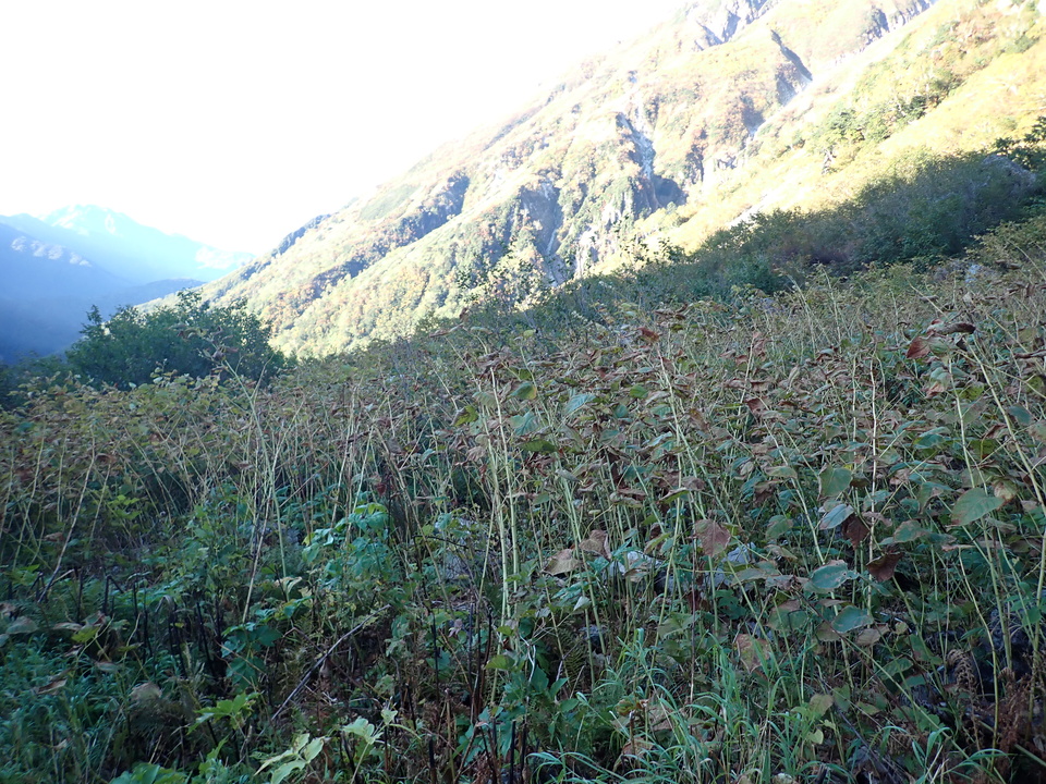 PA035434_mid.jpg