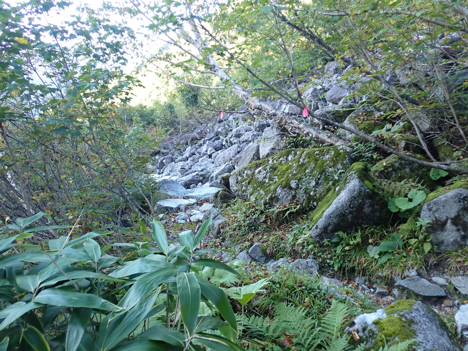 PA035441_mid.jpg