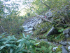 PA035441_thumb.png