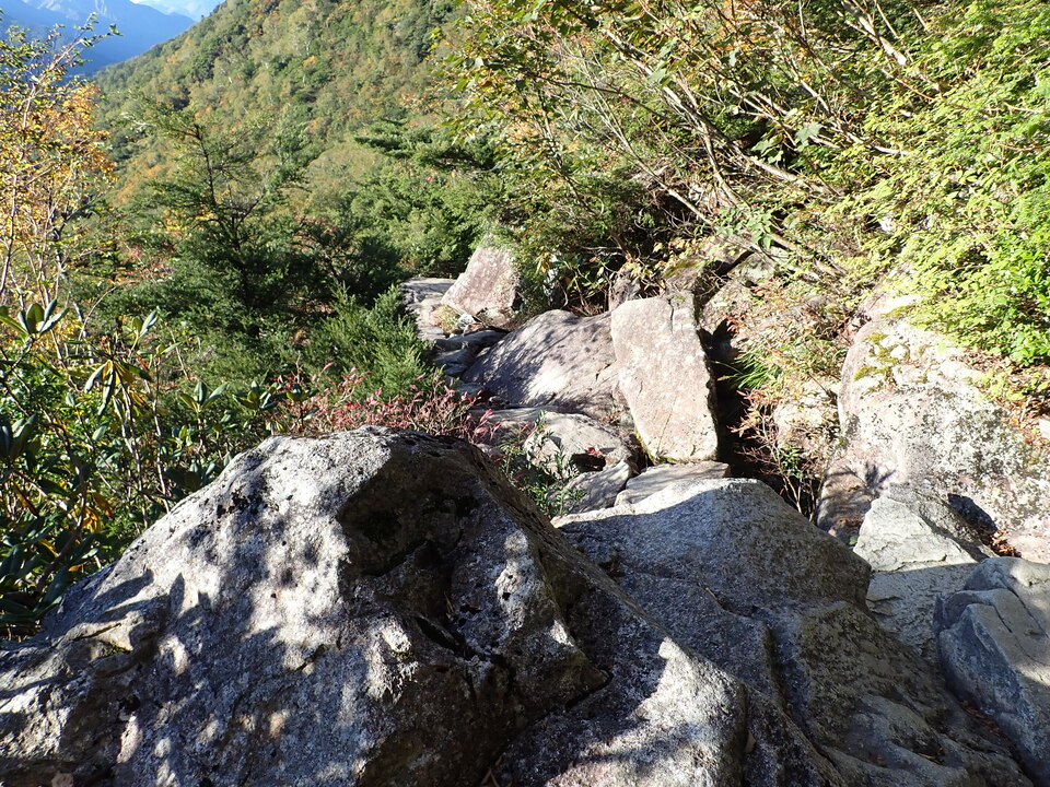 PA035450_mid.jpg