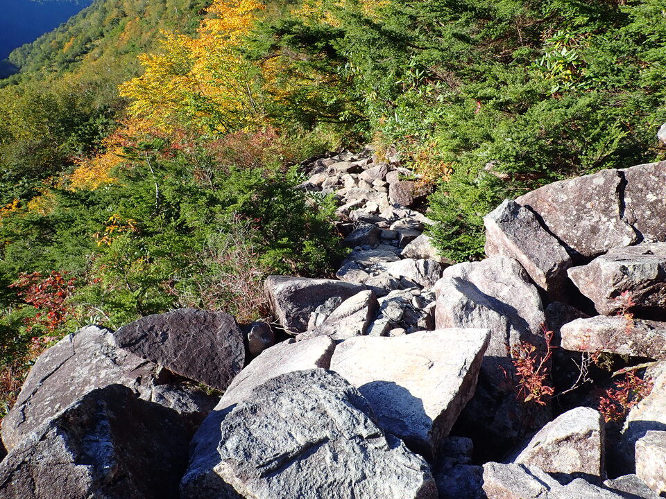 PA035459_mid.jpg