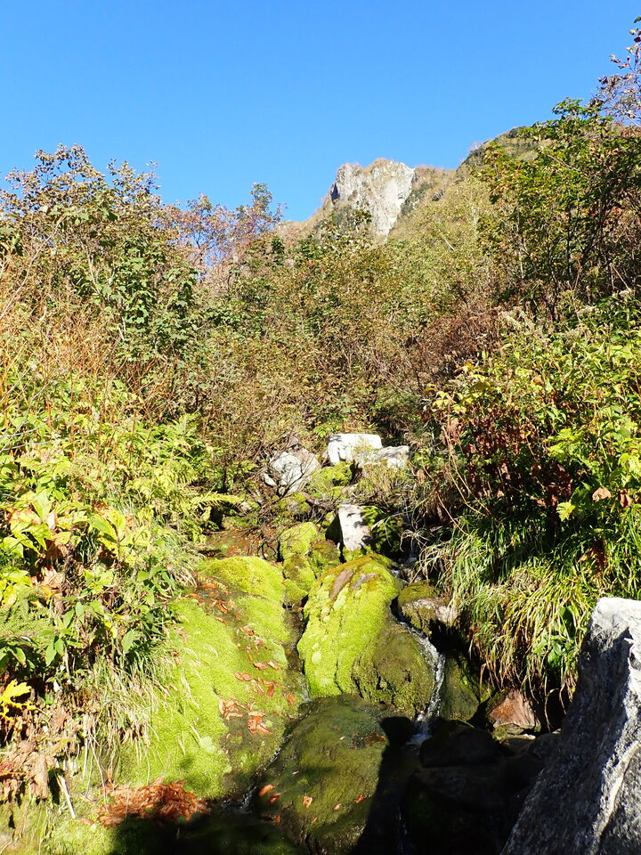 PA035463_mid.jpg