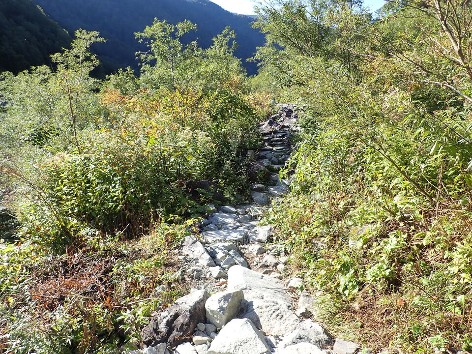 PA035478_mid.jpg