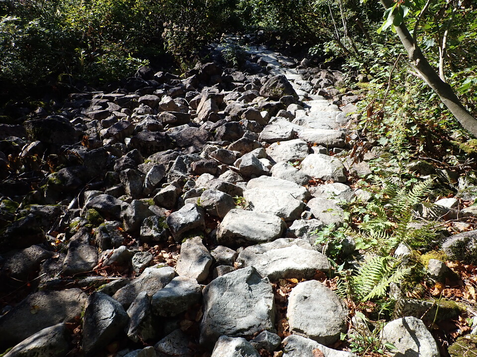 PA035479_mid.jpg