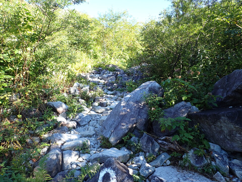 PA035482_mid.jpg