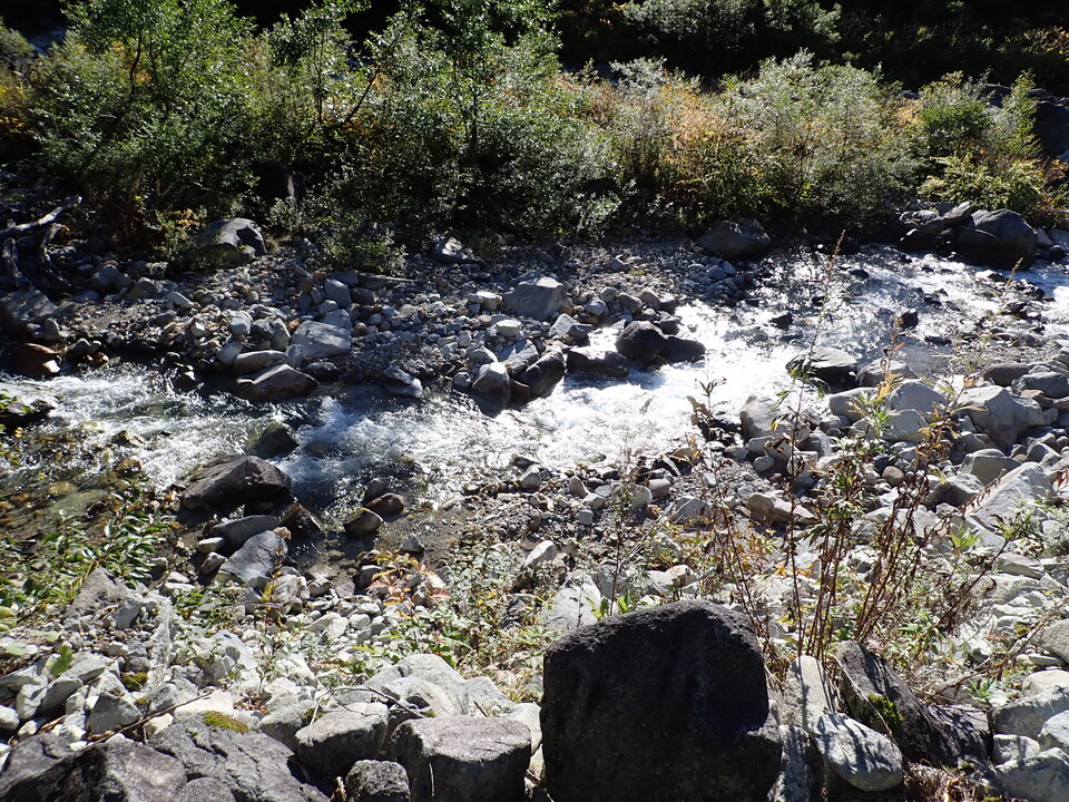 PA035484_mid.jpg