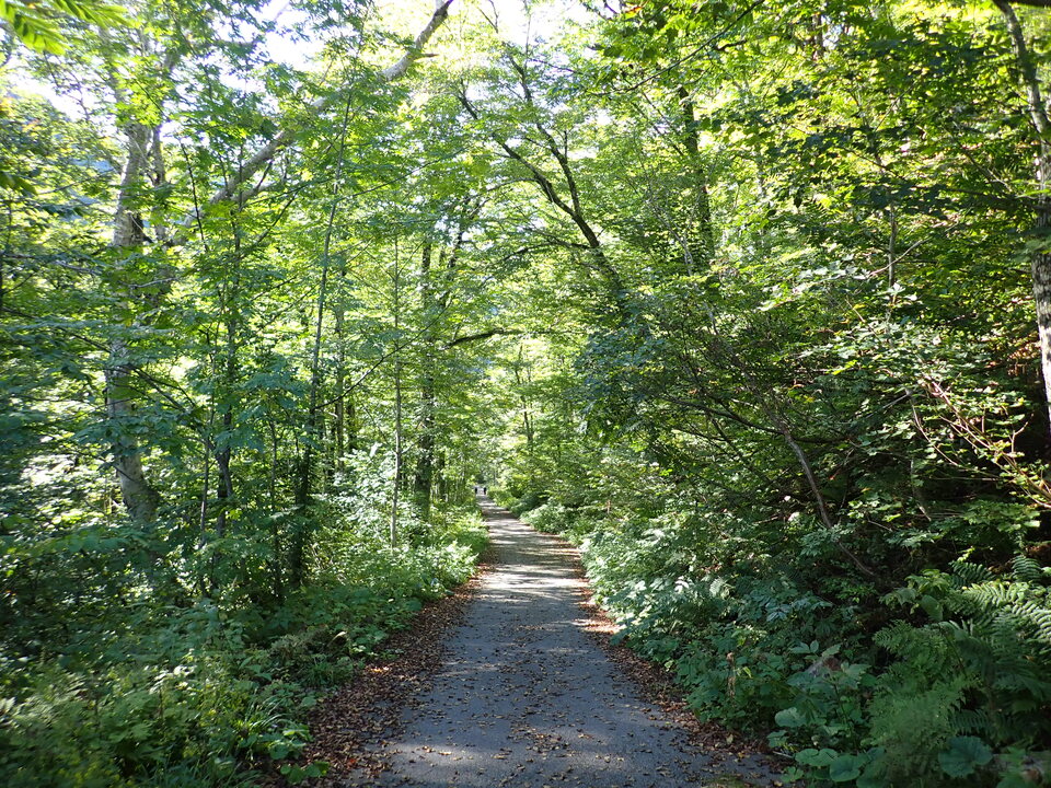 PA035494_mid.jpg