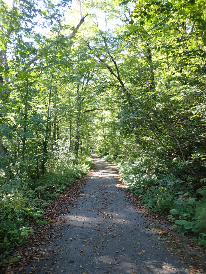 PA035495_mid.jpg