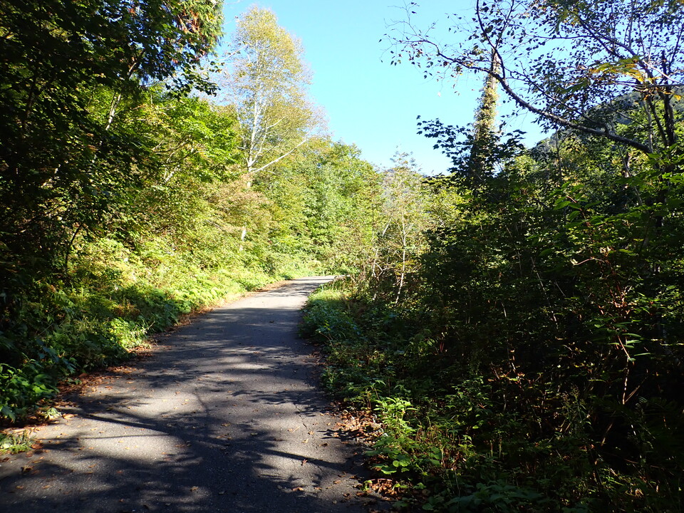 PA035496_mid.jpg