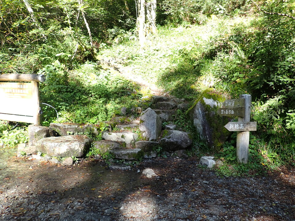 PA035503_mid.jpg