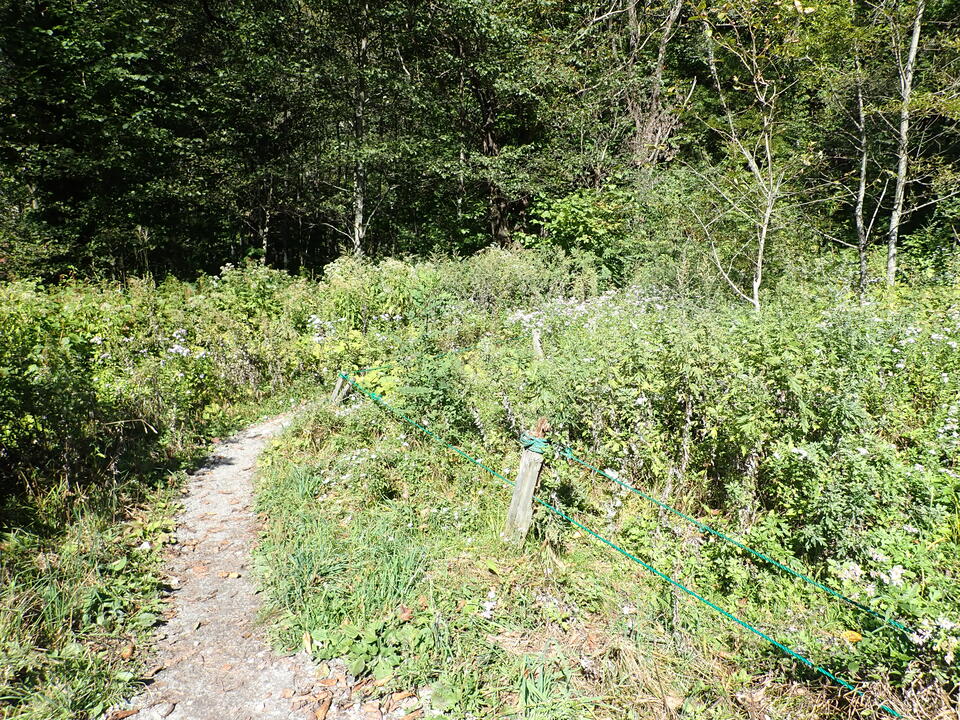 PA035535_mid.jpg