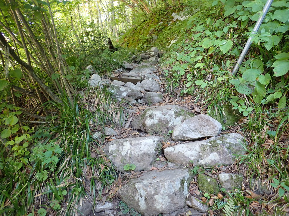 PA035553_mid.jpg