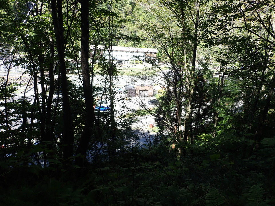 PA035555_mid.jpg