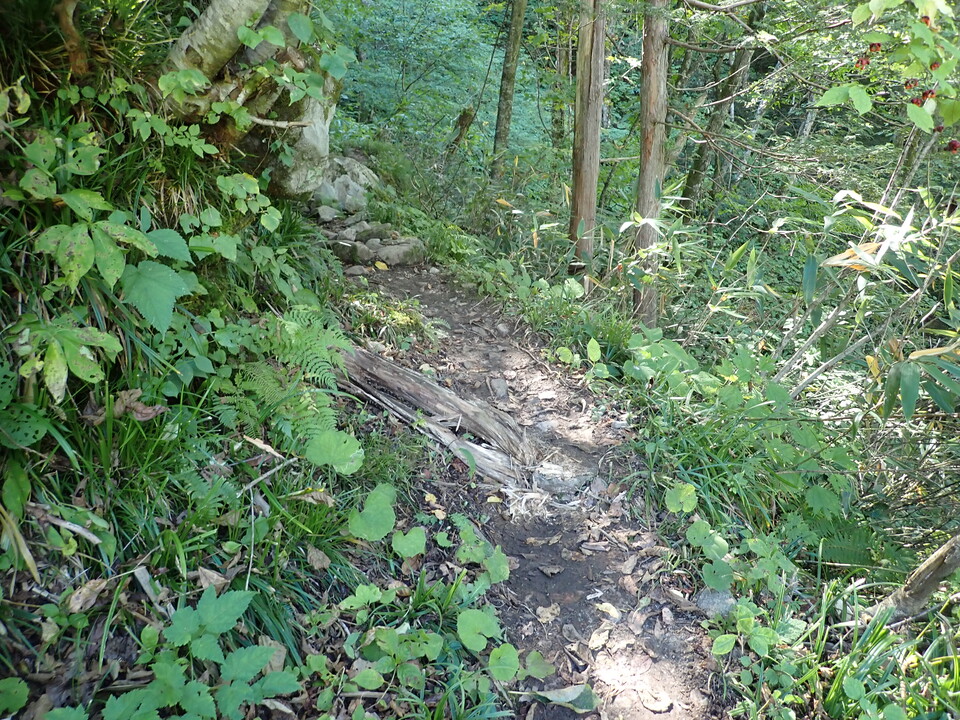 PA035559_mid.jpg