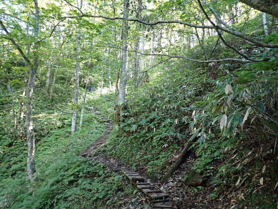PA035564_mid.jpg
