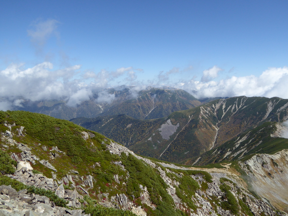 P1030526_mid.jpg
