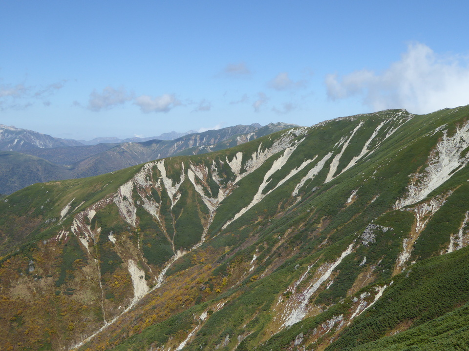 P1030533_mid.jpg