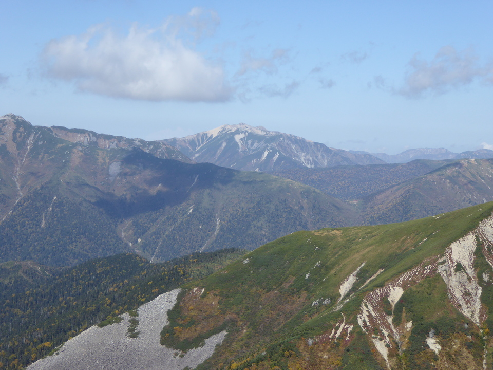 P1030535_mid.jpg