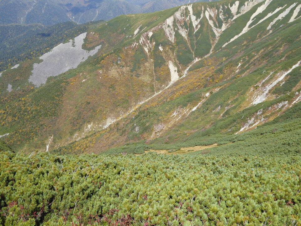 P1030539_mid.jpg