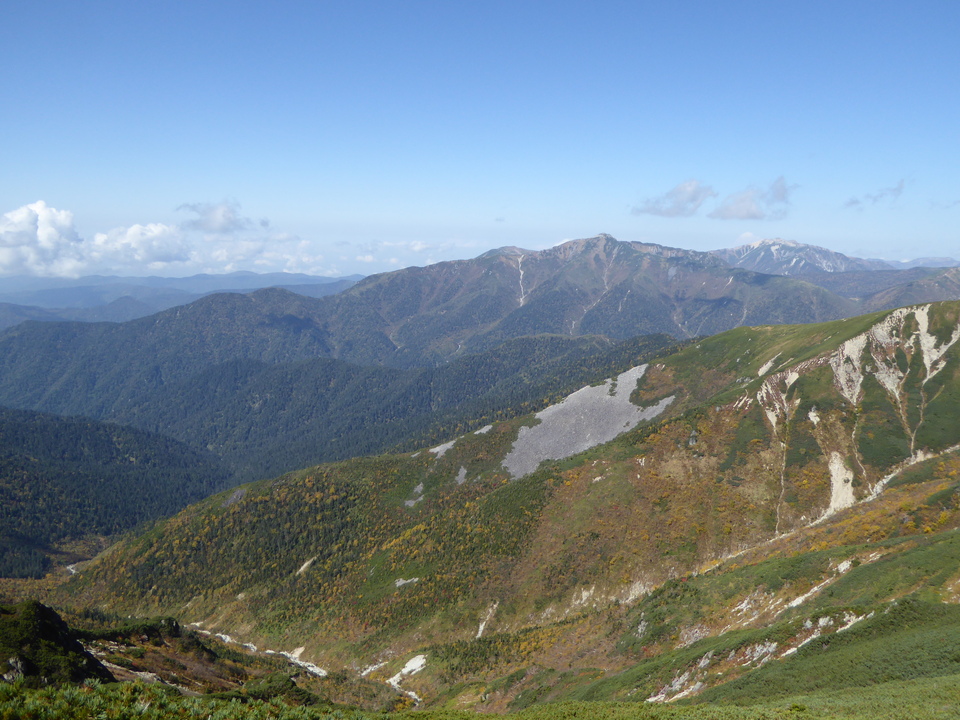 P1030542_mid.jpg