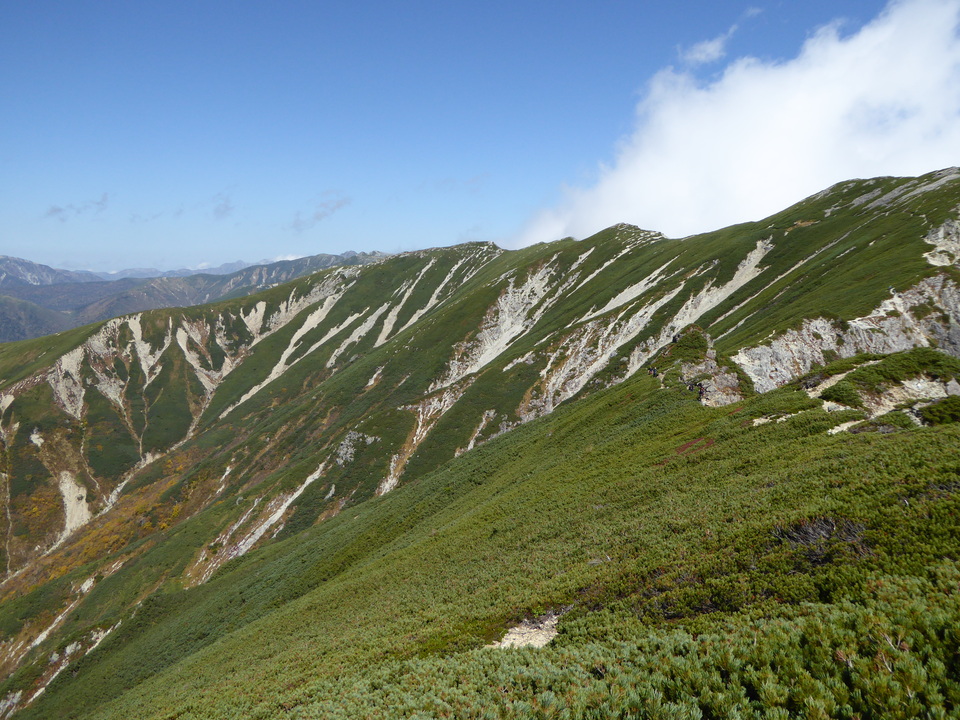 P1030544_mid.jpg