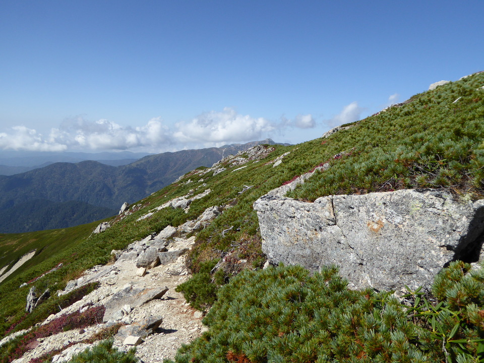 P1030551_mid.jpg