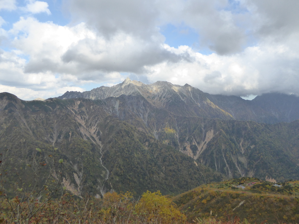 P1030555_mid.jpg