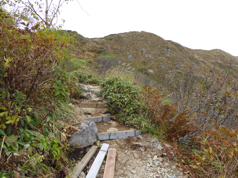 P1030561_mid.jpg
