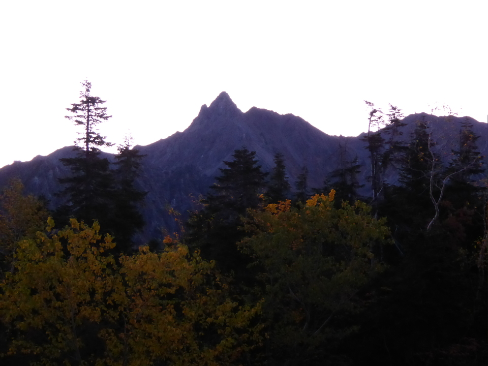 P1030563_mid.jpg