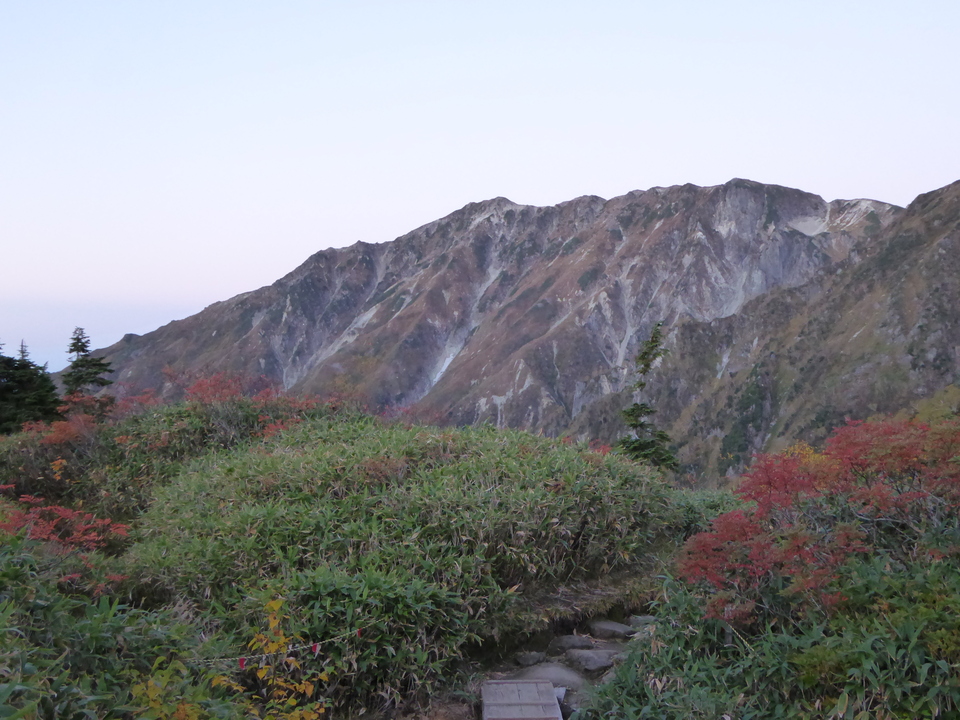 P1030577_mid.jpg