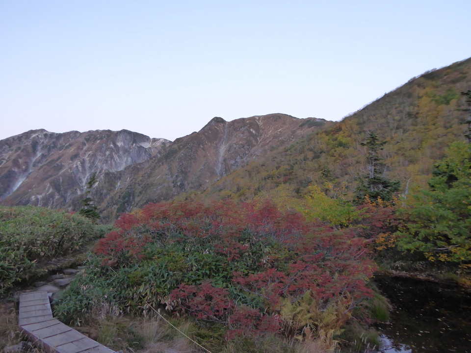 P1030578_mid.jpg
