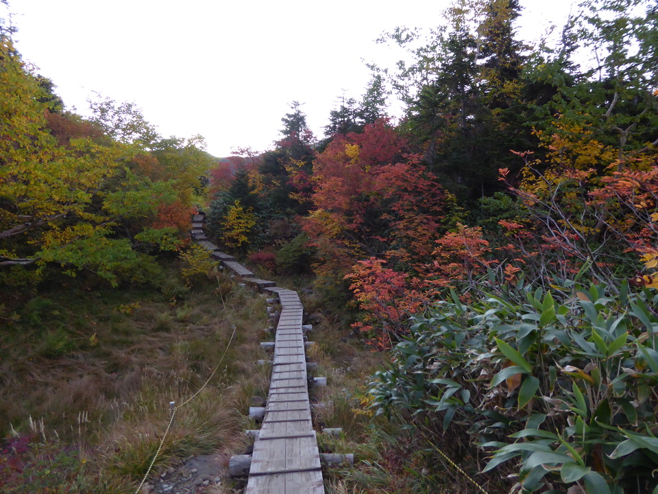 P1030582_mid.jpg