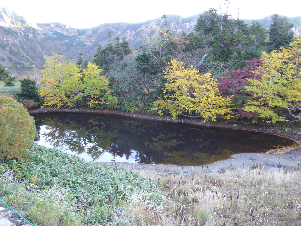 P1030588_mid.jpg